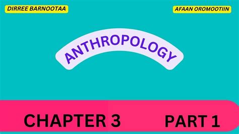 anthropology exam 3 quizlet|freshman anthropology chapter 3 part.